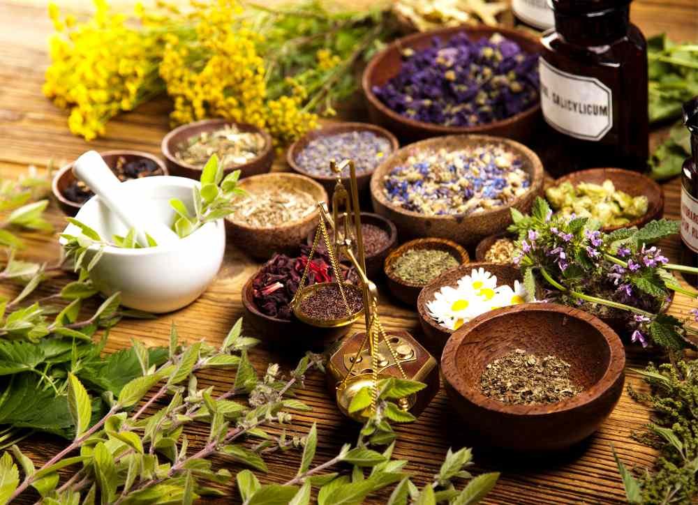 JARNÍ BYLINKY, KTERÉ VÁM V KUCHYNI NESMÍ CHYBĚT JARNÍ BYLINKY, KTERÉ VÁM V KUCHYNI NESMÍ CHYBĚT